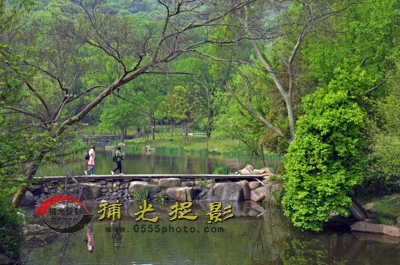 《踏进春天》-赵桂生.JPG