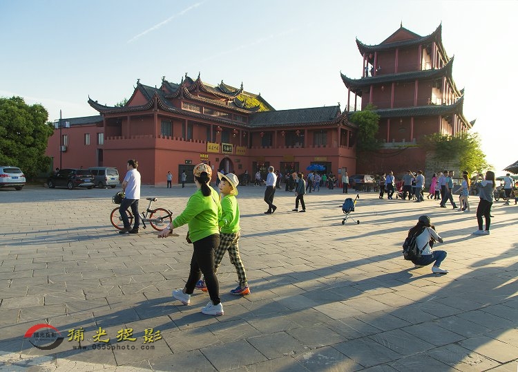 IMG_7209.jpg