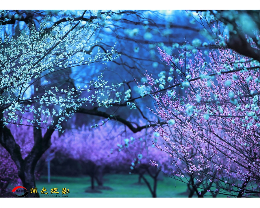 033Ӱ㡷1.jpg