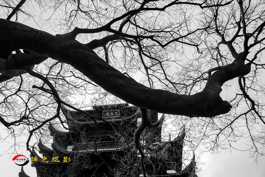 014ʯӡ08.jpg