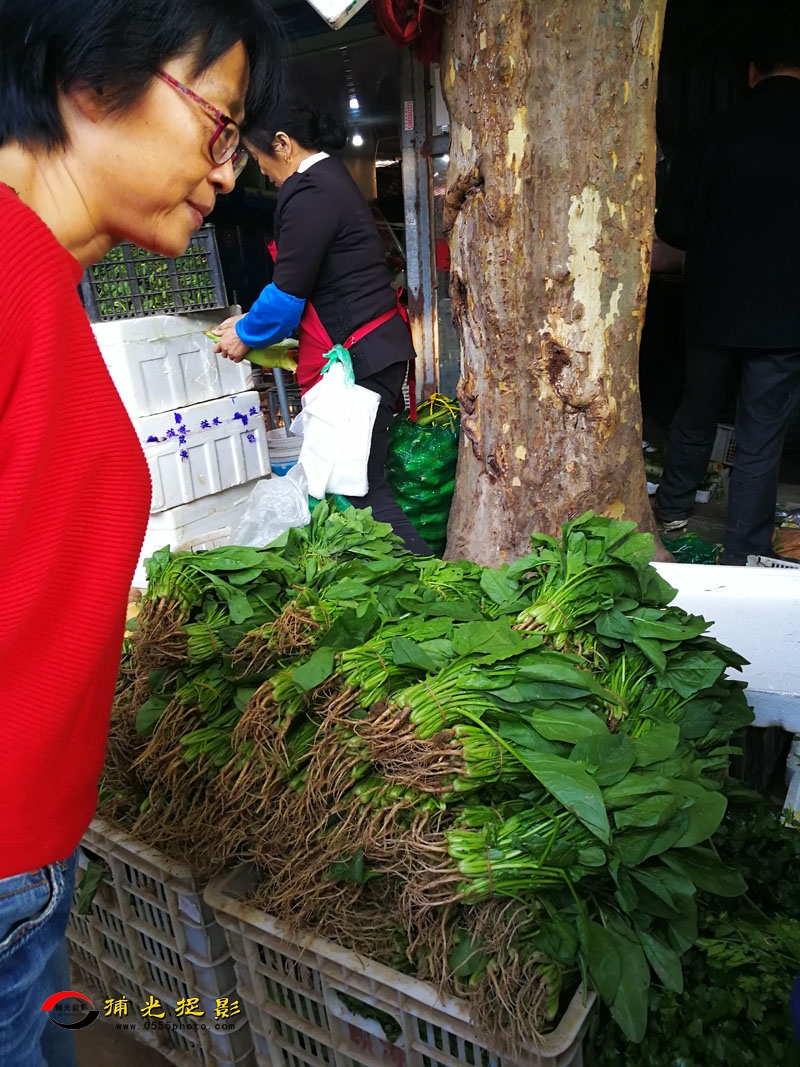 微信图片_20171025120212.jpg