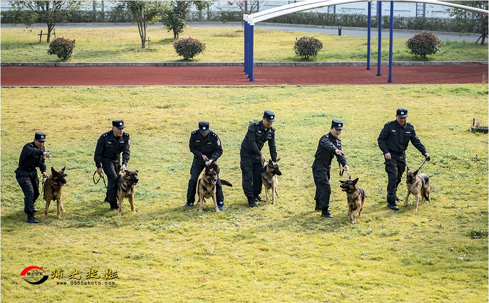1犬训轶趣.jpg