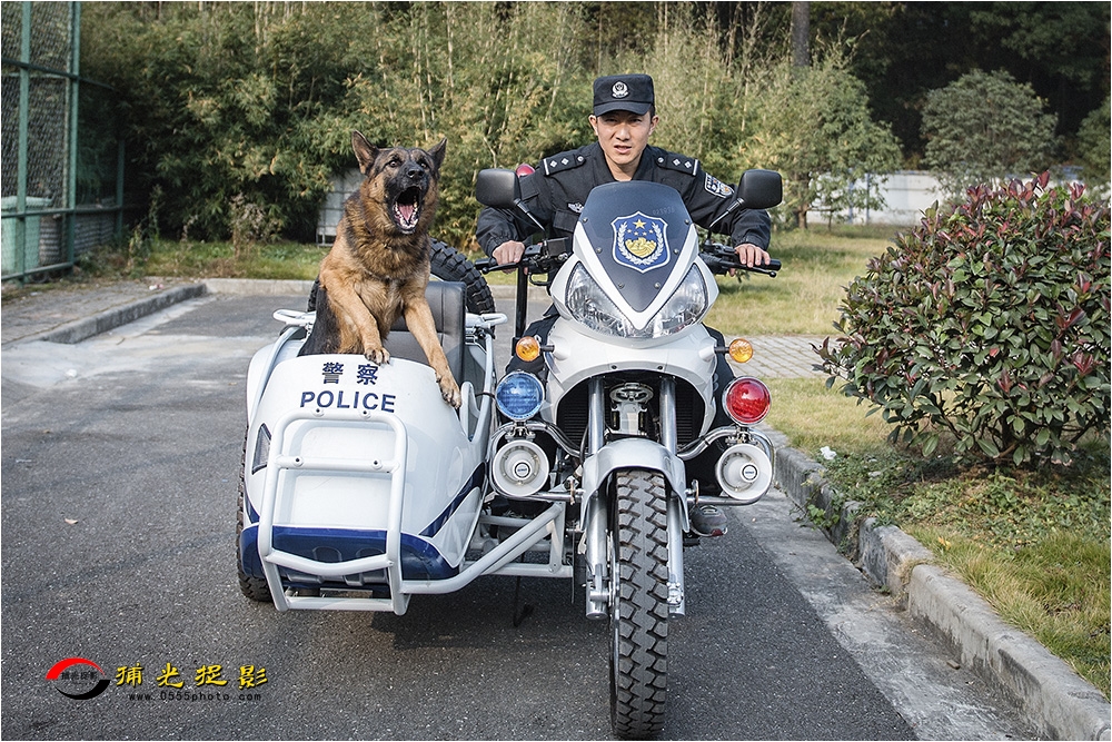 2犬训轶趣.jpg
