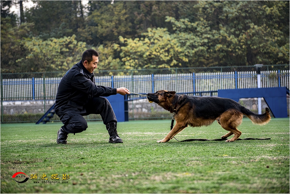 3犬训轶趣.jpg