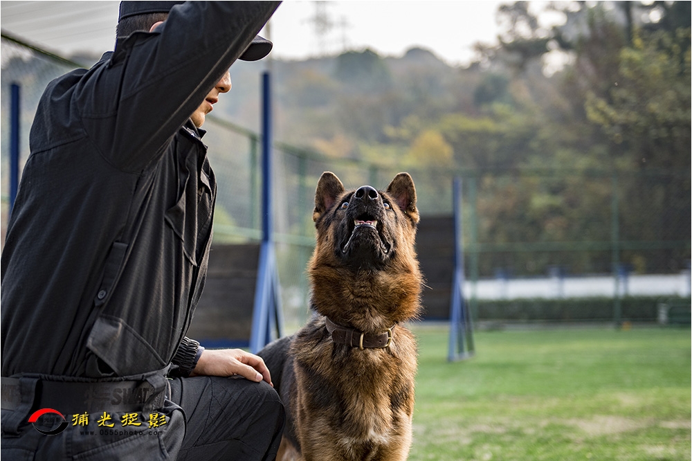 6犬训轶趣.jpg