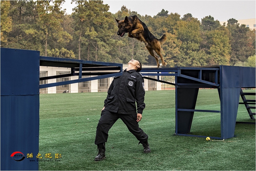 7犬训轶趣.jpg