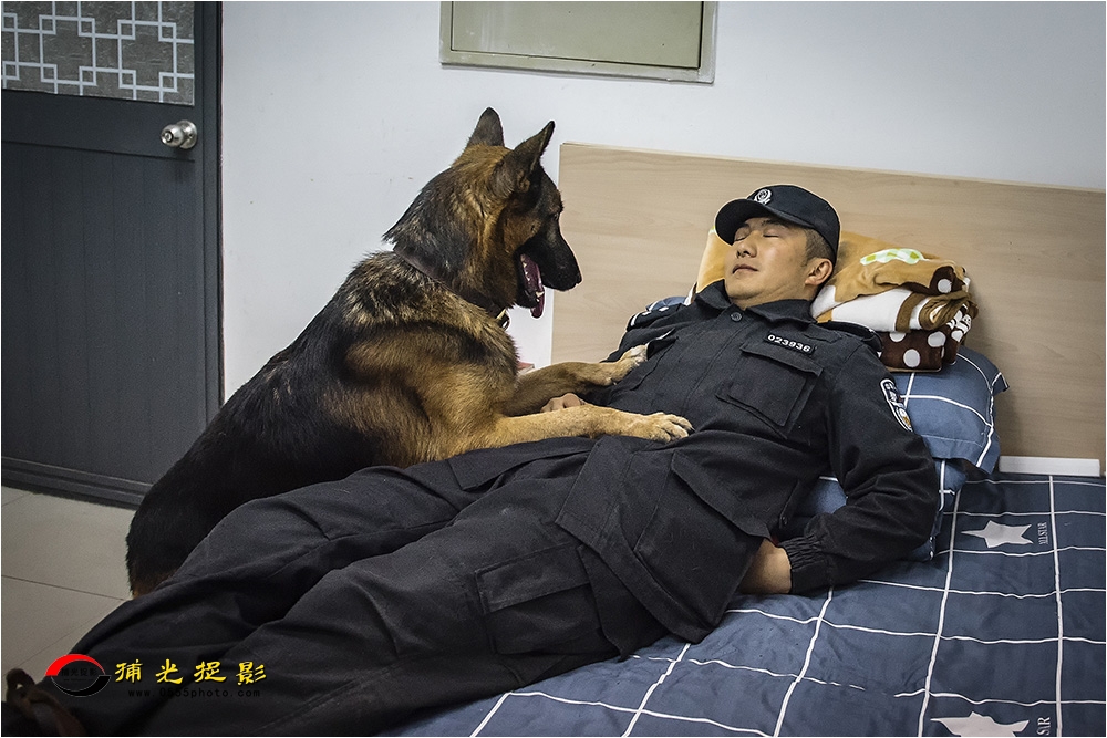 9犬训轶趣.jpg