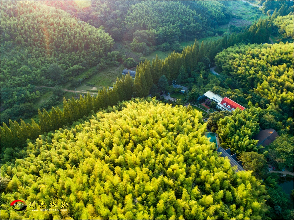 优秀奖《山林秀美》于嵩.jpg