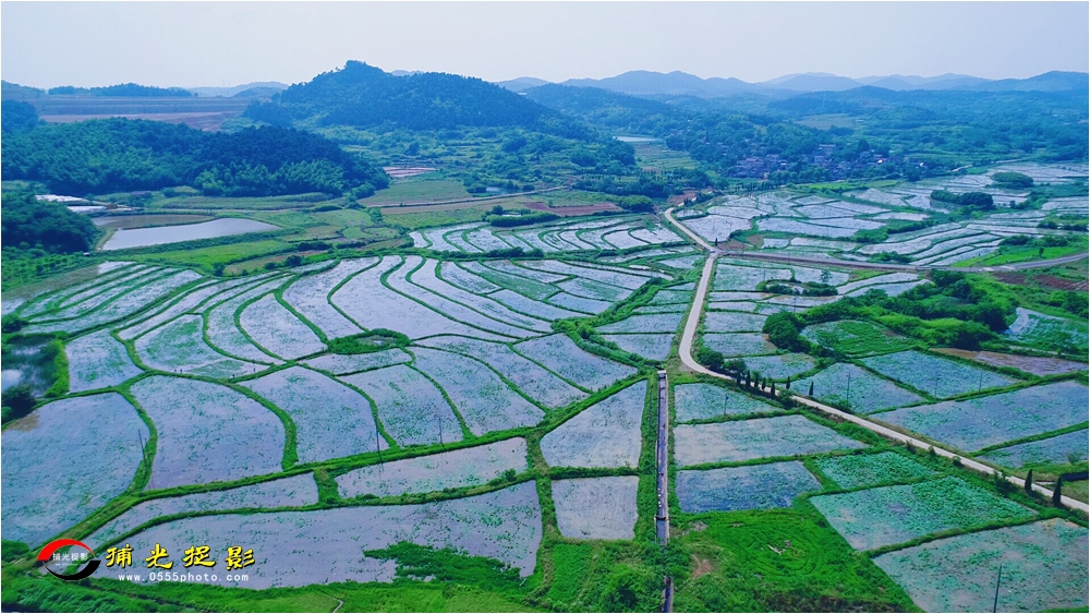 优秀奖《夏日空景》钱 磊.JPG