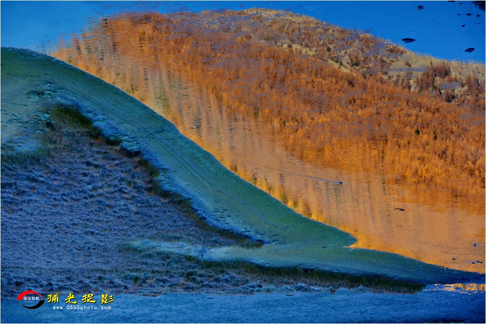 DSC_7862.JPG