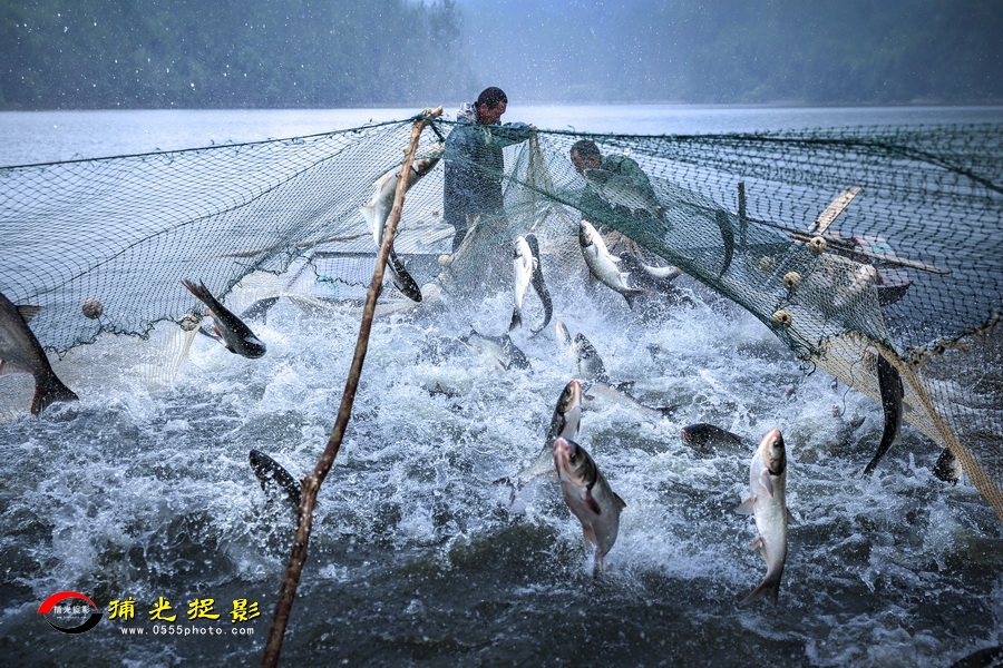 一网情深 冯志红.jpg