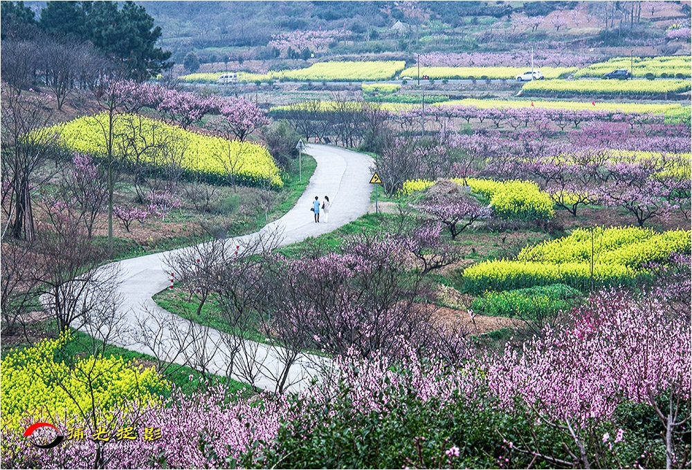 68-10ɽ崺Ũ.jpg