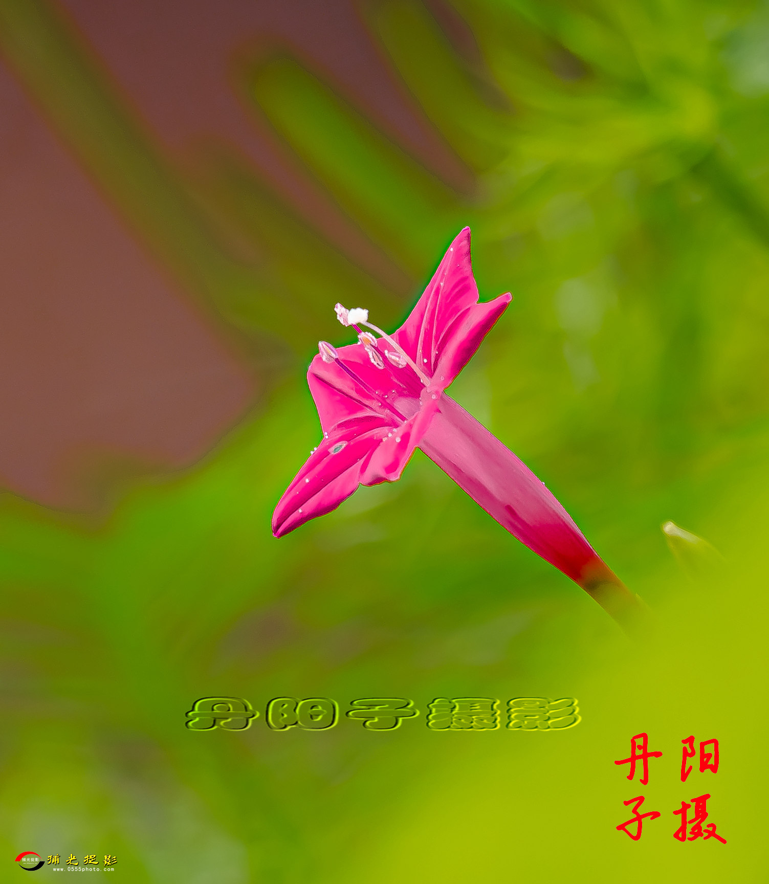 901A189_.jpg