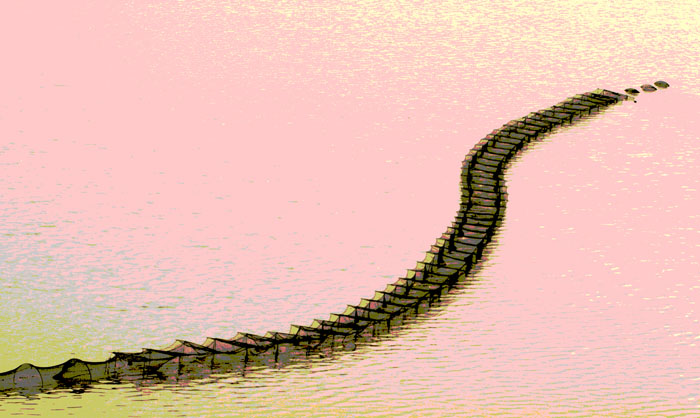 Ҳϲϸλĵĺã죡