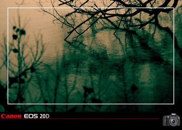 50ͷµСׯ