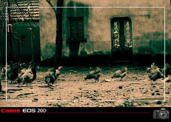 50ͷµСׯ