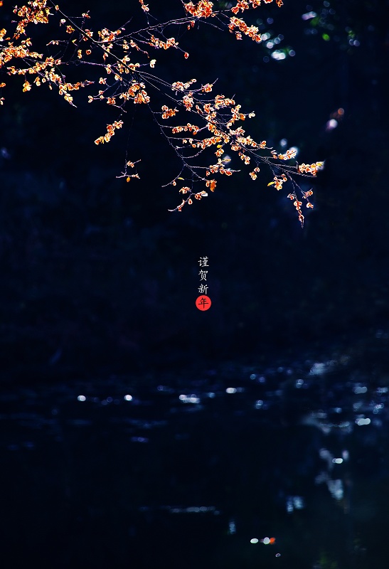 [原创]新年快到了，上组PP
