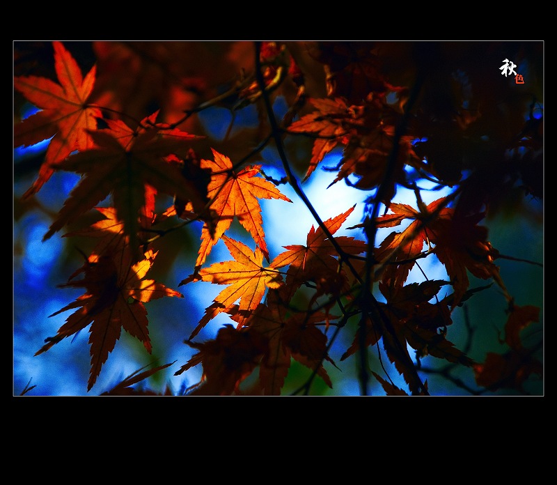[原创]新年快到了，上组PP