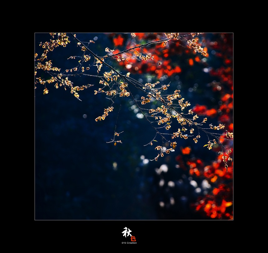 [原创]新年快到了，上组PP