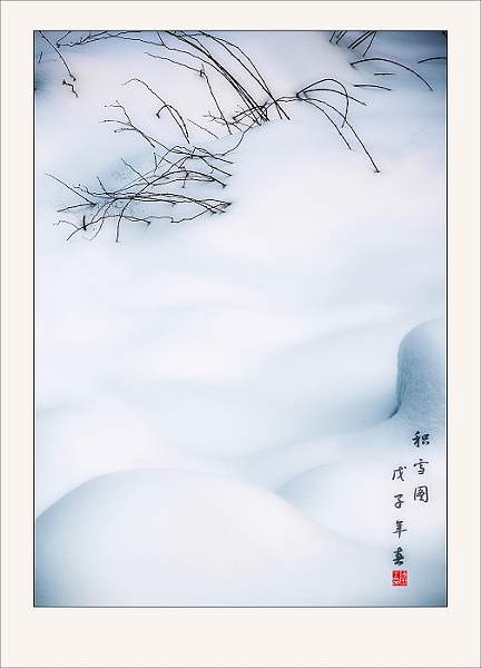 [原创]积雪图
