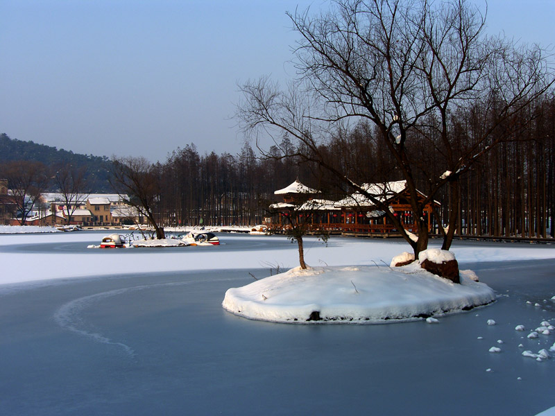 ѩƬ
