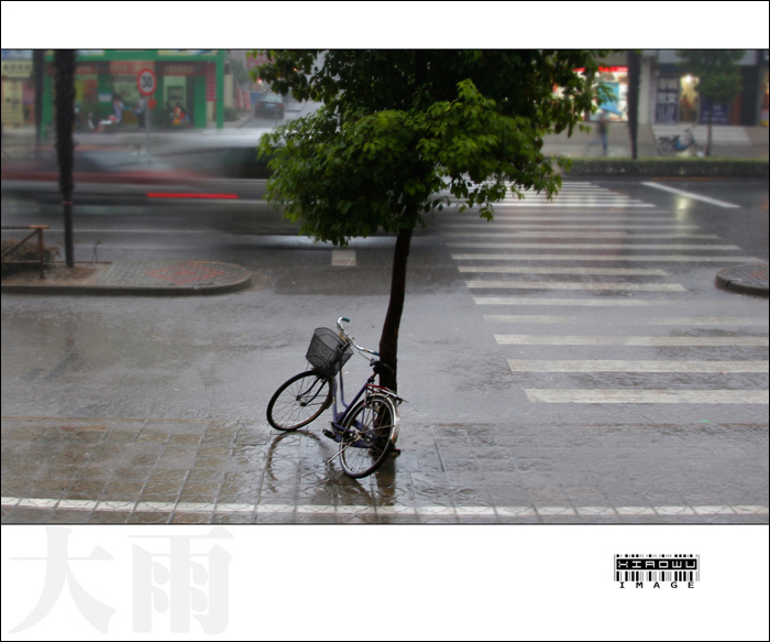 三无集--大雨