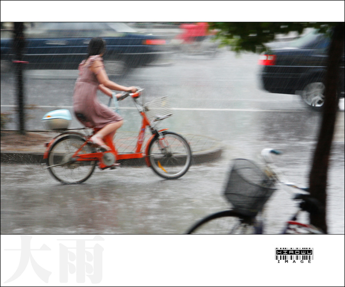 三无集--大雨