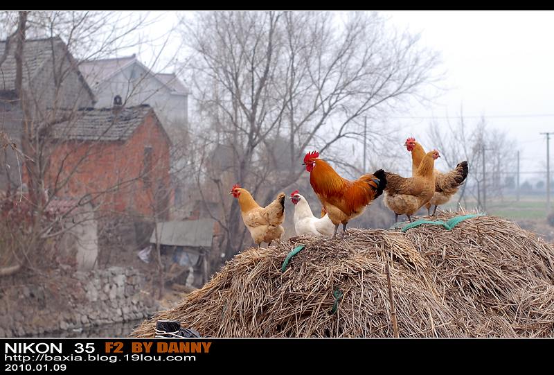 DSC_8125.jpg