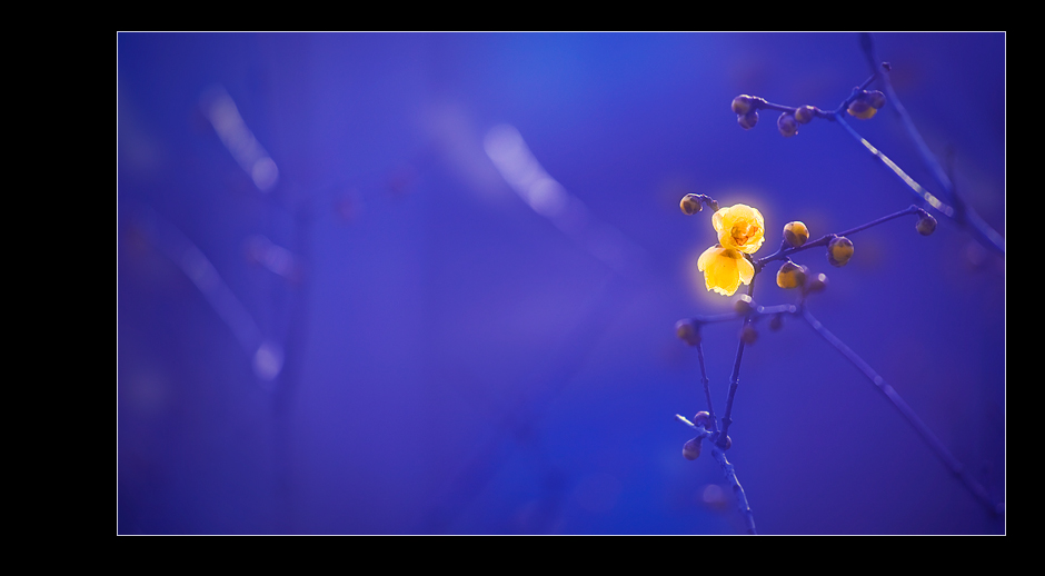 “_MG_7868”为智能对象-1”为智能对象-1.jpg