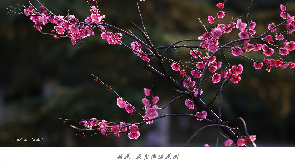 IMGP9880.jpg