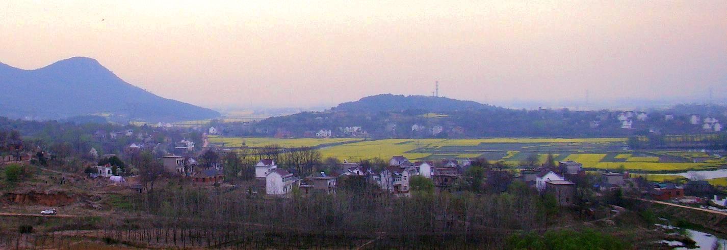 DSC06631  1.jpg