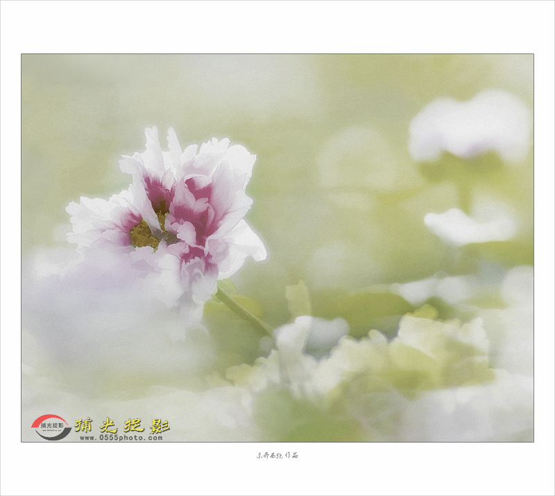 DSC_20003suo.jpg