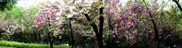 100_6856.JPG