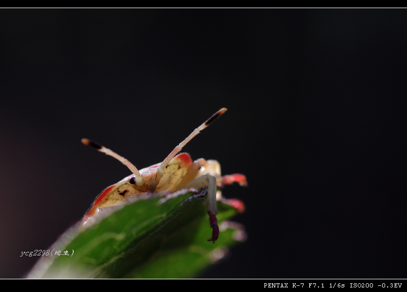 IMGP6079.jpg