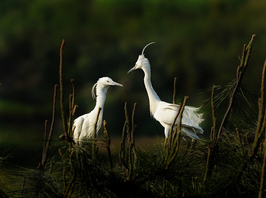 DSC_7312.jpg