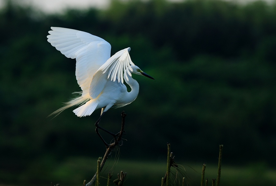DSC_7664.jpg