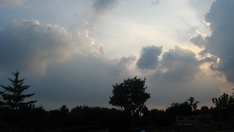 IMG_0425.jpg