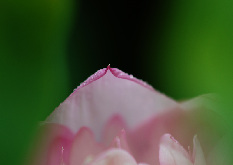 DSC_2534.jpg