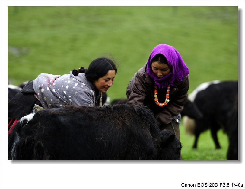 IMG_8134_conew1.jpg