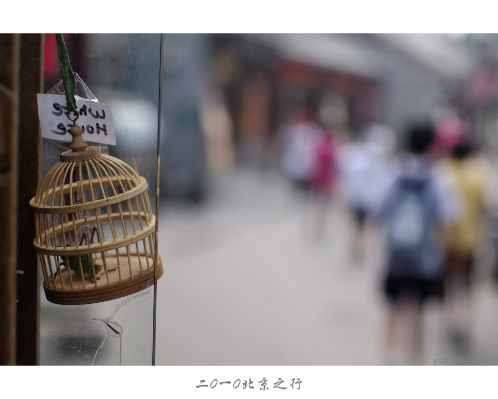 IMGP0513.jpg