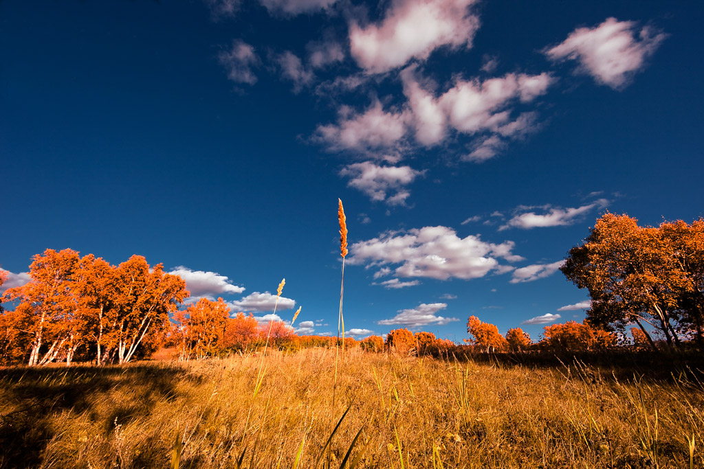_MG_4001-0-ys.jpg