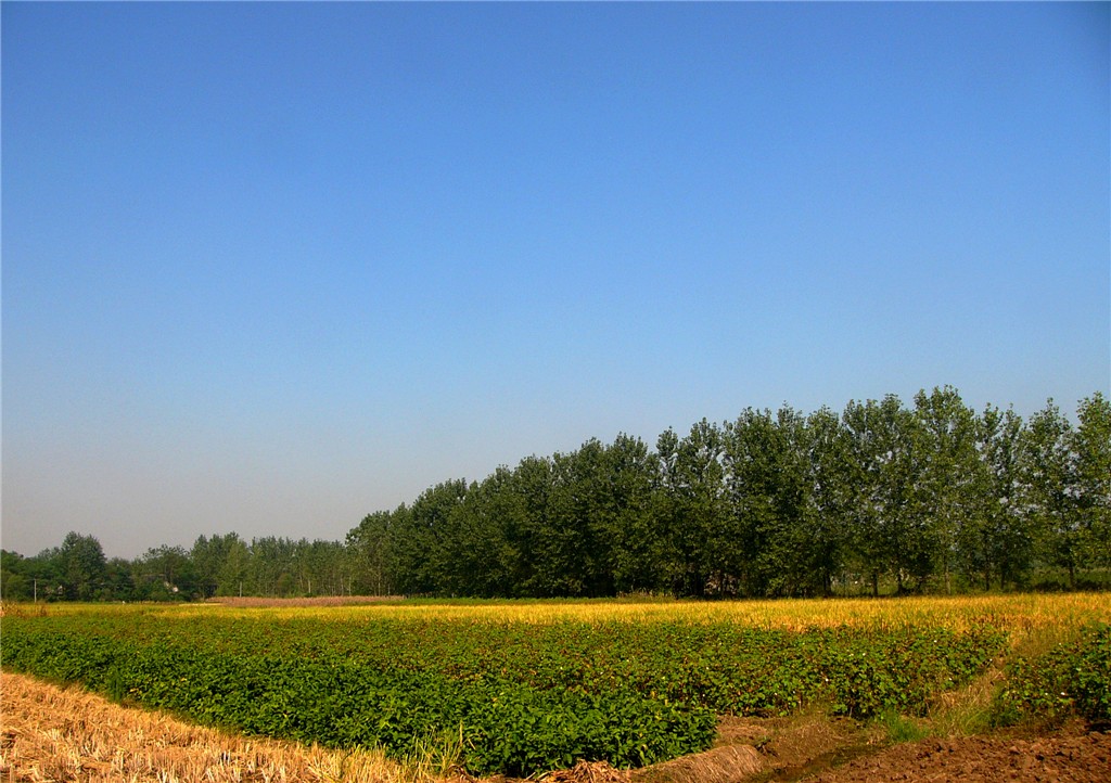 P1230655_副本.jpg