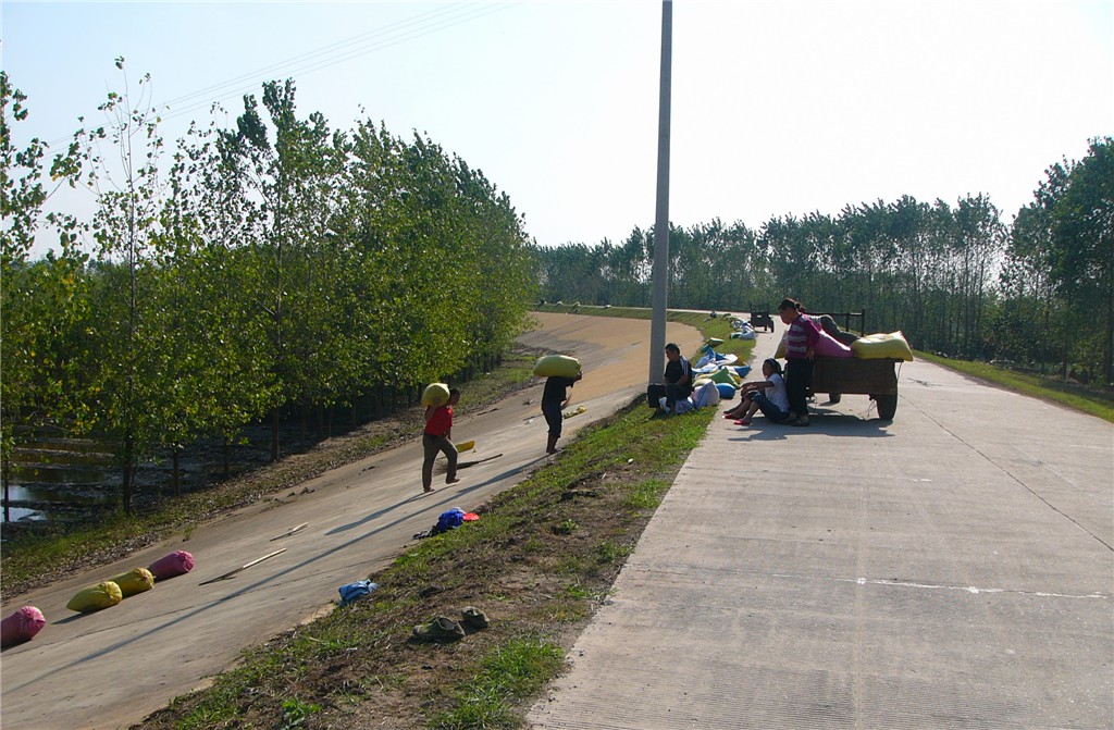 P1230736_副本.jpg