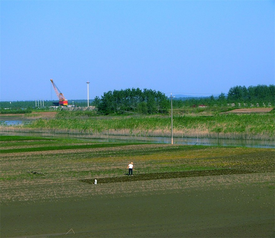 P1230746_副本.jpg