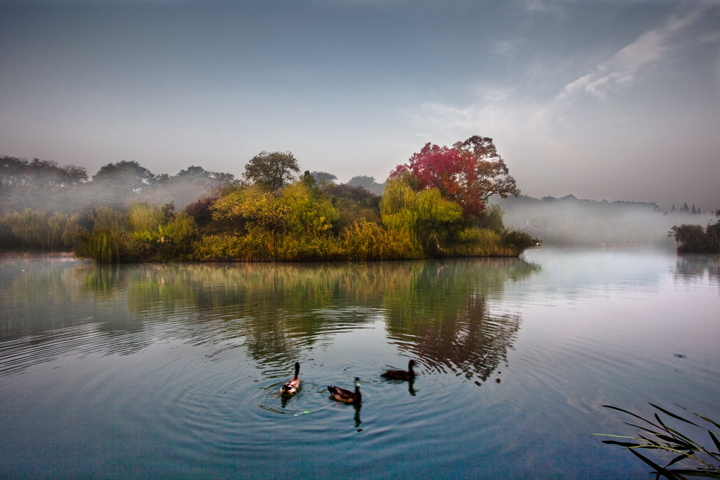 _MG_6338-0-ys.jpg
