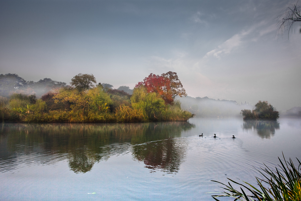 _MG_6339-0-ys.jpg