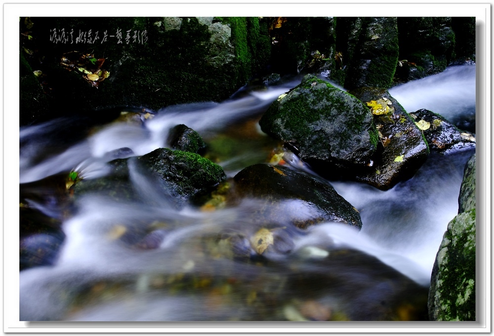 IMG_0249_A.jpg