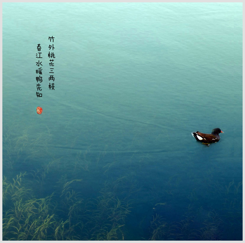 春江水暖.jpg