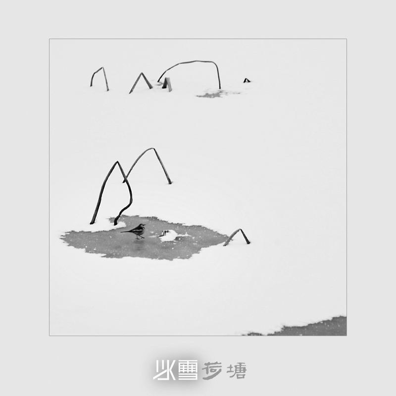 ѩ6.jpg