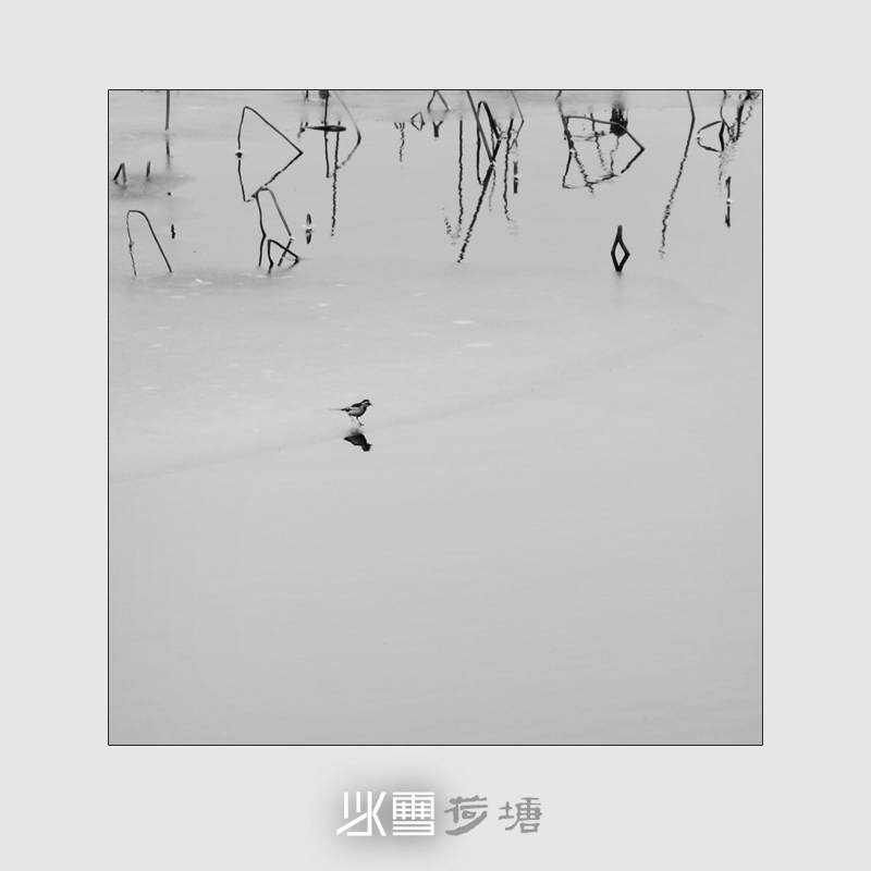 ѩ4.jpg